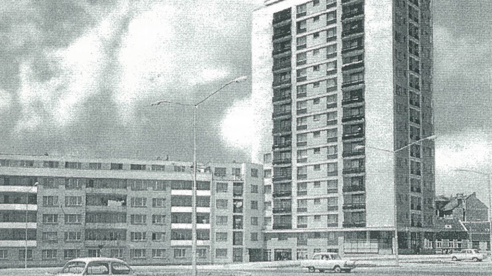 Zora Mitrović Pajkič