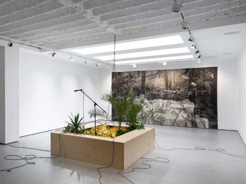 Priznanje, ART gallery & café citymuseum.pg 2021 • DaNS
